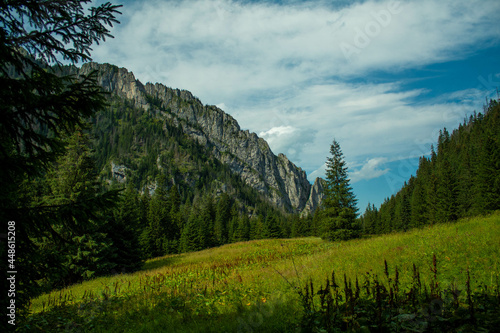 Fototapeta Tatry