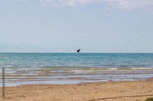A remote bird flying over the water surface in the morning. Lakeside scenery: coastline, summer sky and waving water of the lake