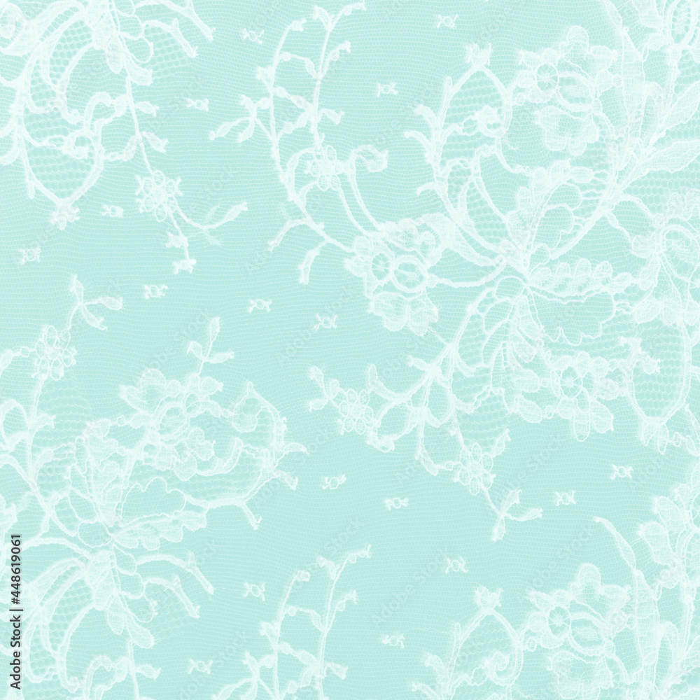 Mint green lace fabric with a floral ornament. A feminine background best for invitations or wedding designs. Mint green lace fabric with a floral ornament. A feminine background best for invitations or wedding designs.