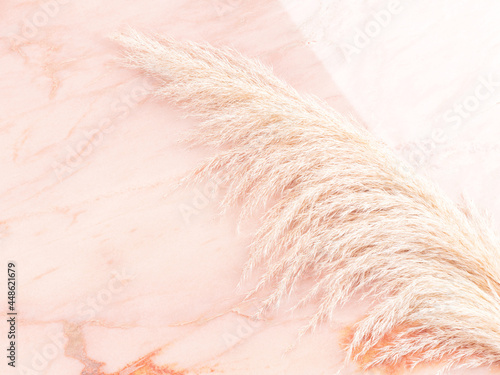 Pink pastel marble table background with trendy pampas grass