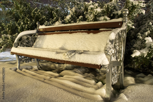 wooden bench in the park