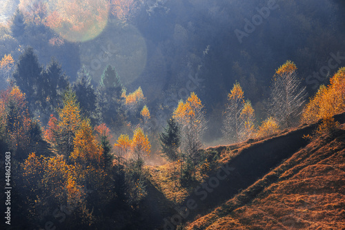 View of hills of Water Dividing ridge photo