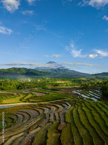 Drone photo of the Indonesian terraced rice fields with a mountain background. The condition of the rice fields after harvesting. The mountain in sight is Mount Sumbing with a little cloud covering.