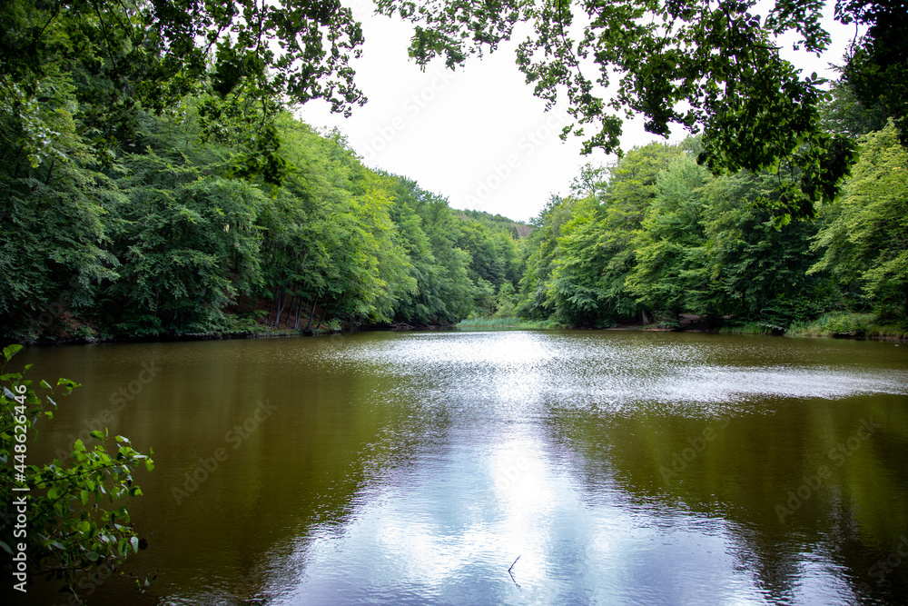 view on a lake with reflections of trees in the water
