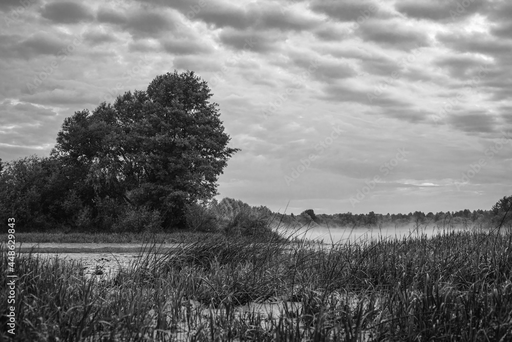 Summer dawn on the river. Black and white horizontal landscape with fog and clouds.