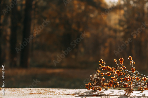 Dried flowers are lying on the table against the background of an autumn forest. Selective focus. The concept of a warm autumn