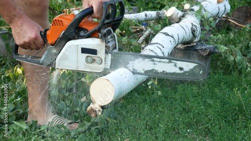 Wallpaper Mural Cutting slices of wood log with a chain saw. Close-up of a birch log that is being cut. Sawdust flies in different directions. Torontodigital.ca