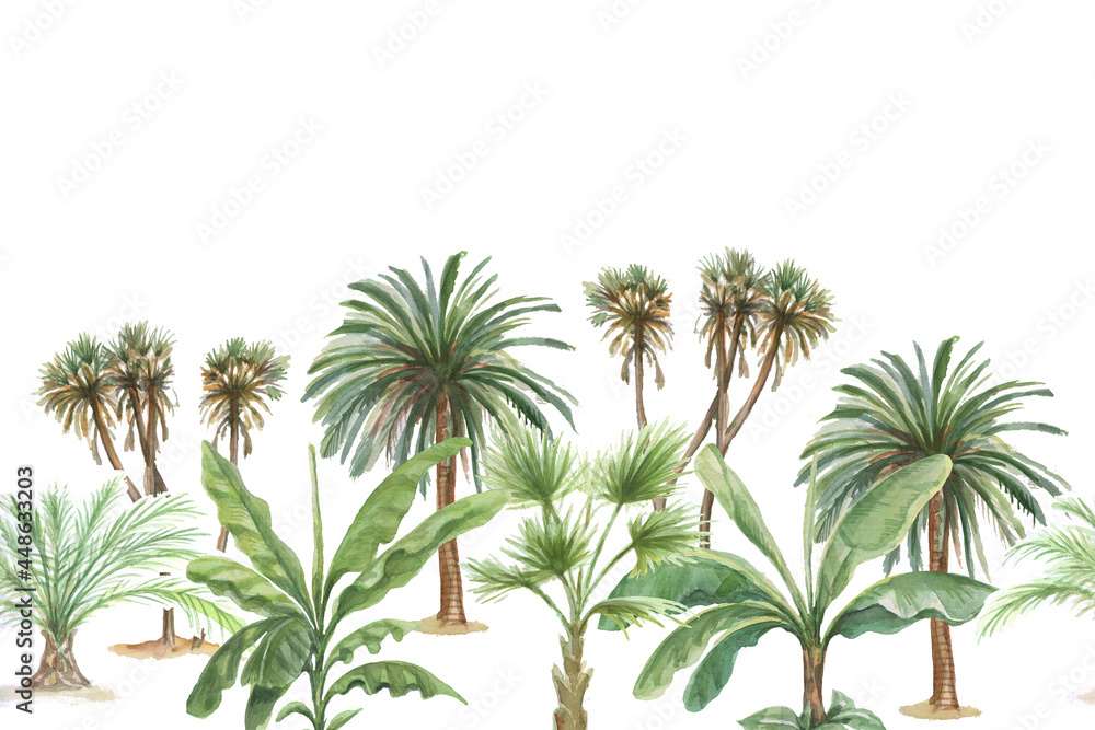 palm trees jungle plants banana palm watercolor hand drawn illustration.  print textile vintage retro realistic style