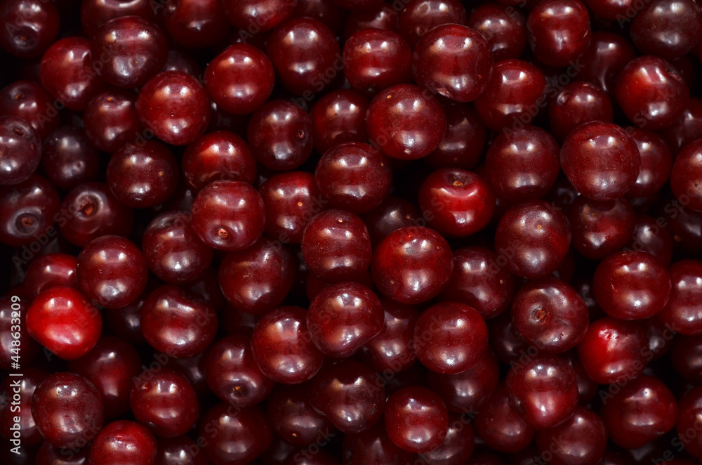 dark red ripe cherries natural seamless background dark red ripe cherries natural seamless background