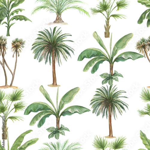 palm trees jungle plants banana palm watercolor hand drawn illustration. Patern seamless print textile vintage retro realistic style