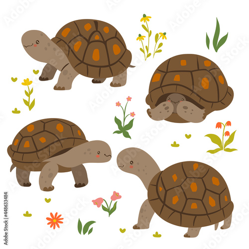 Set of cute turtles isolated on a white background. Vector graphics.