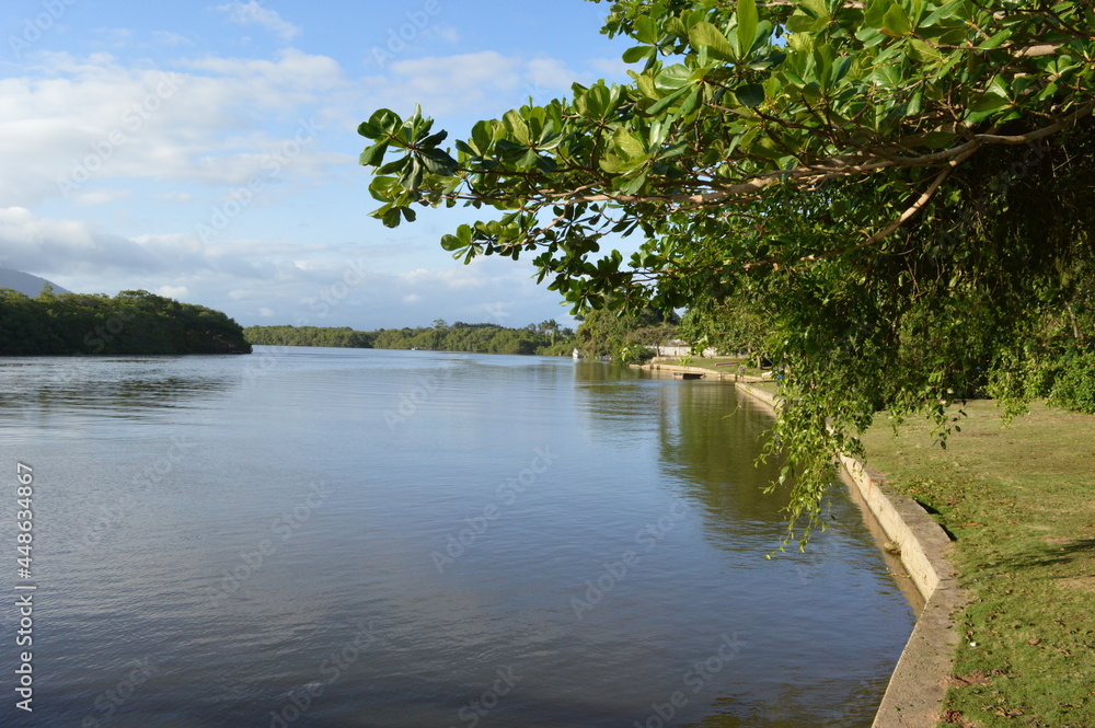 the river in the forest
