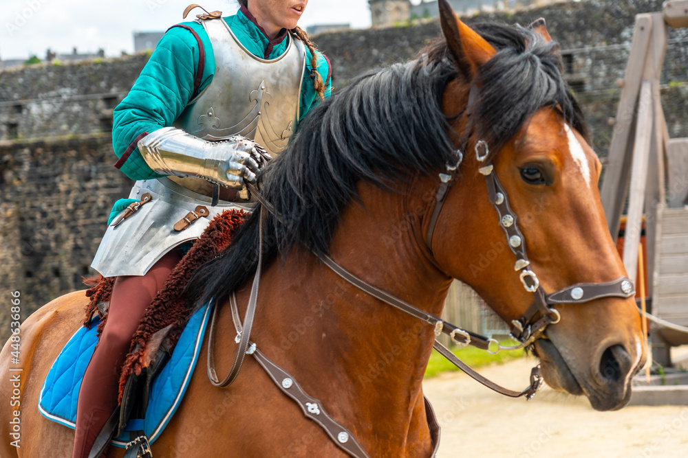Fototapeta premium A medieval soldier on horseback at the castle of Fougeres. Brittany region, Ille et Vilaine department, France