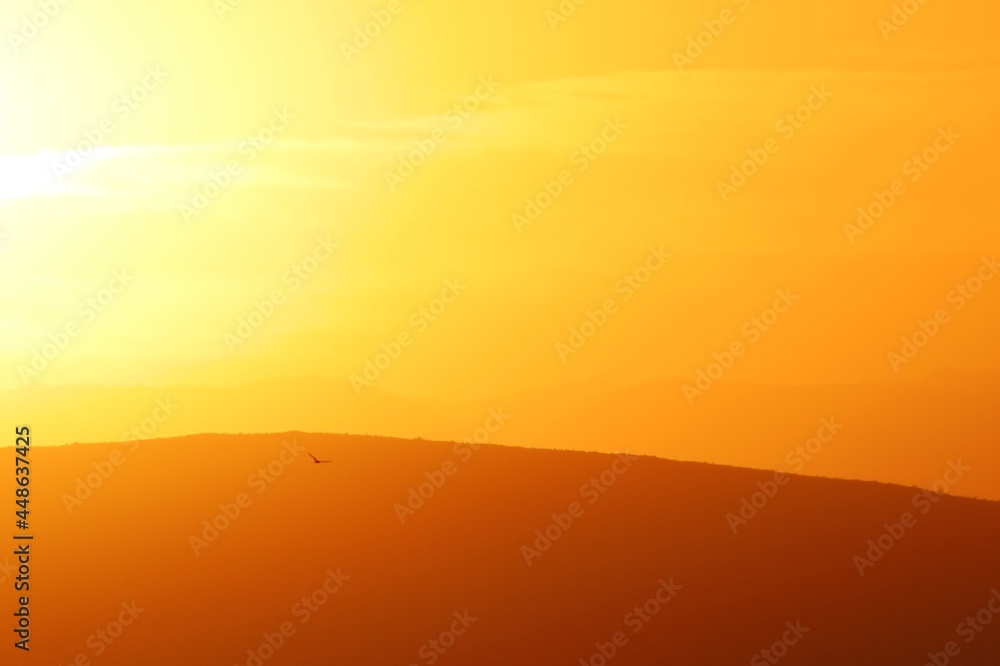 Hot Desert Sunrise as the Eagle Flies 