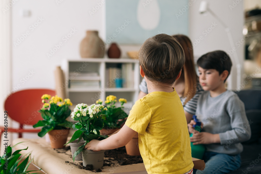 mother and sons at home gardening flowers mother and sons at home gardening flowers