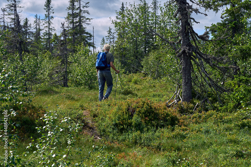 Hiking in the Toten  sen Hills  Norway.