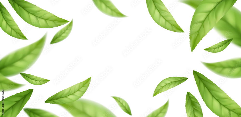 Realistic flying falling green tea leaves isolated on white background. Background with flying green spring leaves. Vector illustration Realistic flying falling green tea leaves isolated on white background. Background with flying green spring leaves. Vector illustration