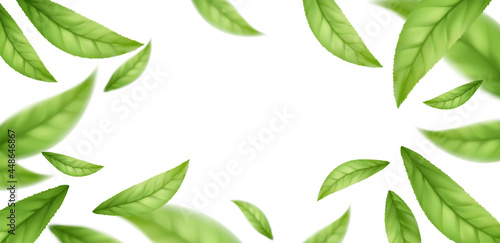 Realistic flying falling green tea leaves isolated on white background. Background with flying green spring leaves. Vector illustration