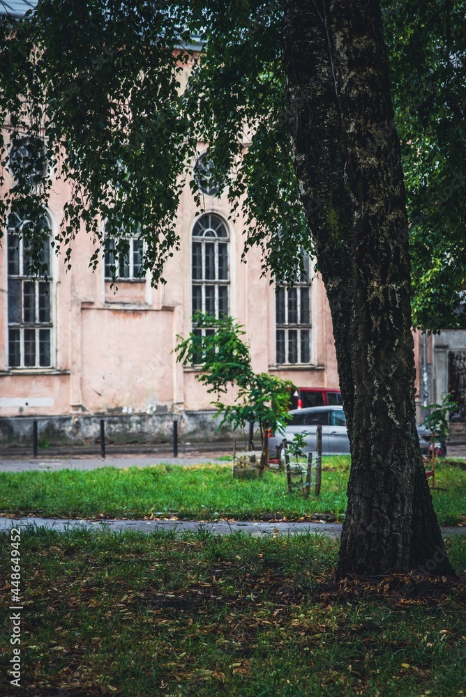 Lviv, Ukraine - July, 2021: The Jakob Glanzer Shul Synagogue or the former Chasidim Synagogue at the Vuhilna Street in Lviv, which survived in the Holocaust, is being restored.