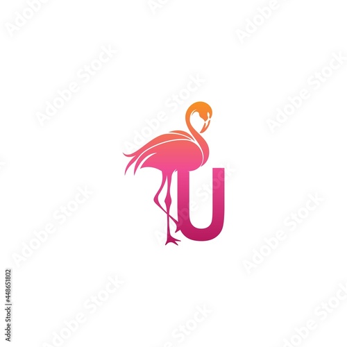 Flamingo bird icon with letter U Logo design vector © xbudhong