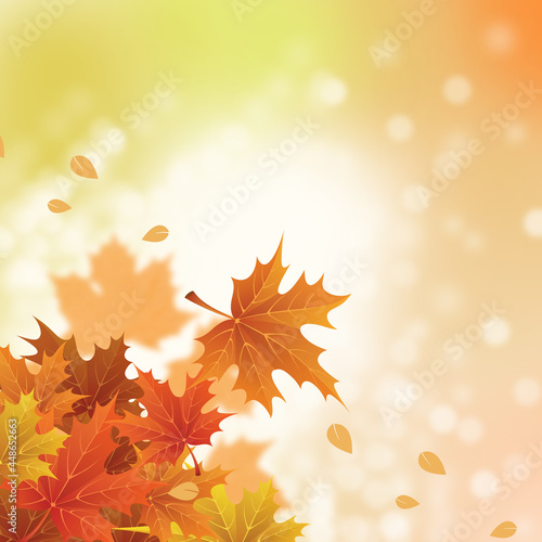 Autumn background with sunlight and falling leaves