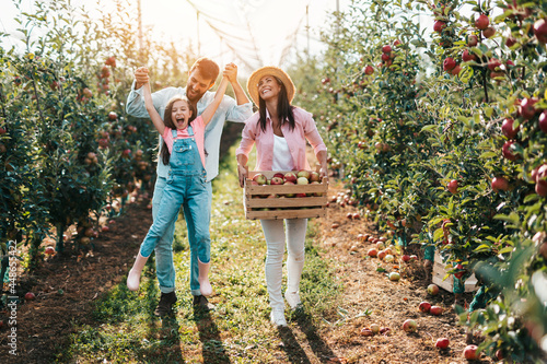 Vászonkép Happy family enjoying together while picking apples in orchard.
