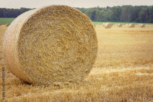 Round hay bale