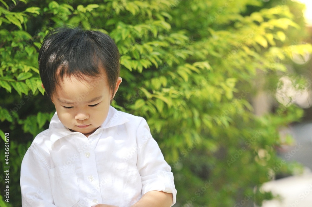 Little Asian boy walking at outdoor , Happy 4 years asian boy on a sunny day in the garden at home.Happy boy concept. Little Asian boy walking at outdoor , Happy 4 years asian boy on a sunny day in the garden at home.Happy boy concept.