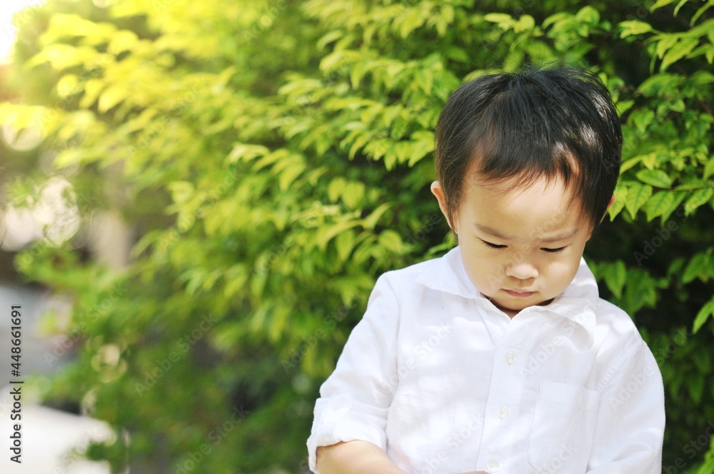 Little Asian boy walking at outdoor , Happy 4 years asian boy on a sunny day in the garden at home.Happy boy concept. Little Asian boy walking at outdoor , Happy 4 years asian boy on a sunny day in the garden at home.Happy boy concept.