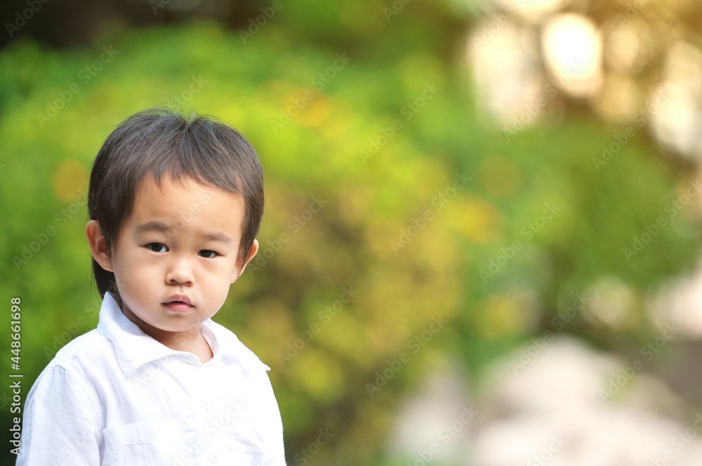 Little Asian boy walking at outdoor , Happy 4 years asian boy on a sunny day in the garden at home.Happy boy concept. Little Asian boy walking at outdoor , Happy 4 years asian boy on a sunny day in the garden at home.Happy boy concept.