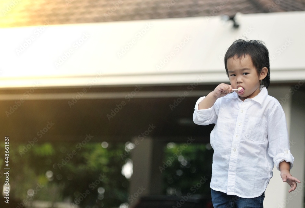Little Asian boy with lollipop at outdoor , Happy 4 years asian boy with a lollipop on a sunny day in the garden at home.Happy and Delicious face with candy lollipop concept. Little Asian boy with lollipop at outdoor , Happy 4 years asian boy with a lollipop on a sunny day in the garden at home.Happy and Delicious face with candy lollipop concept.
