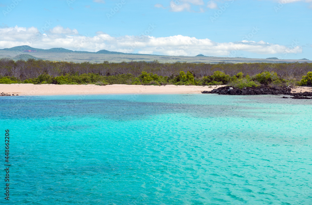 Galapagos coral reef and beach by North Seymour Island famous for snorkeling, Galapagos national park, Ecuador.