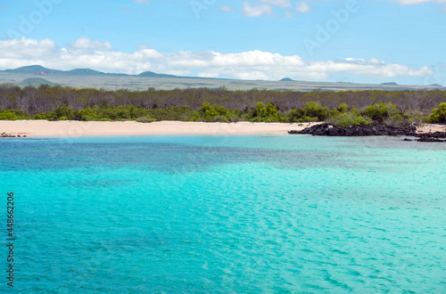 Fototapeta Naklejka Na Ścianę i Meble -  Galapagos coral reef and beach by North Seymour Island famous for snorkeling, Galapagos national park, Ecuador.