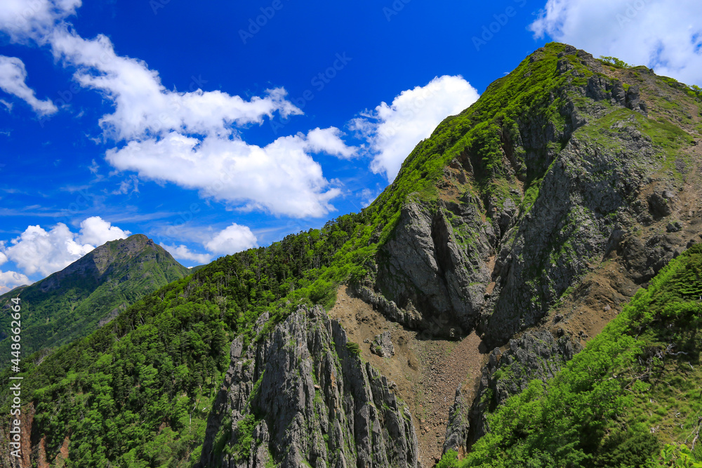 Obraz premium 南八ヶ岳 権現岳山頂への道 権現岳西峰
