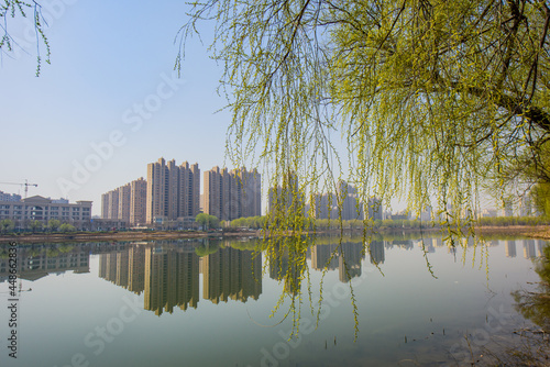 The waterfront city horizon in spring and the reflection of newly sprouted willow branches