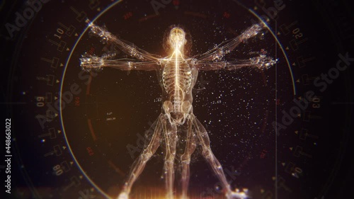 3D Futuristic Animation of Leonardo Da Vinci Vitruvian Man. Anatomy of a Perfect Human Male Body Showing Skeleton, Brain and Energy Flow with Data and Infographics. Golden colors.