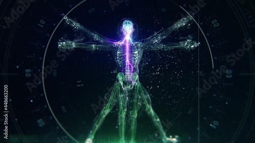 3D Futuristic Animation of Leonardo Da Vinci Vitruvian Man. Anatomy of a Perfect Human Male Body Showing Skeleton, Brain and Energy Flow with Data and Infographics.