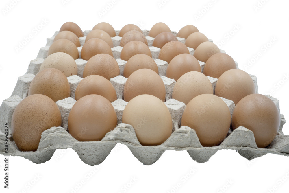 Chicken eggs on white background. Chicken eggs on white background.