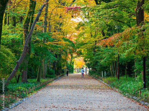 秋の京都 下鴨神社 参道