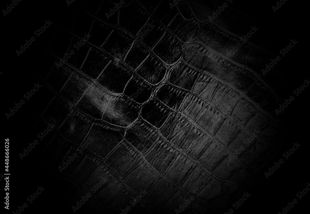 Obraz premium Texture.