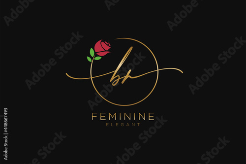 initial BR Feminine logo beauty monogram and elegant logo design, handwriting logo of initial signature, wedding, fashion, floral and botanical with creative template.