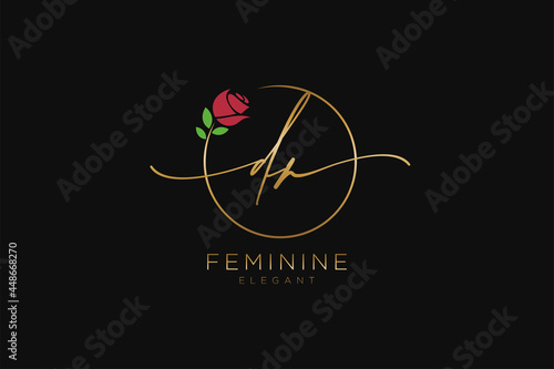 initial DR Feminine logo beauty monogram and elegant logo design, handwriting logo of initial signature, wedding, fashion, floral and botanical with creative template.