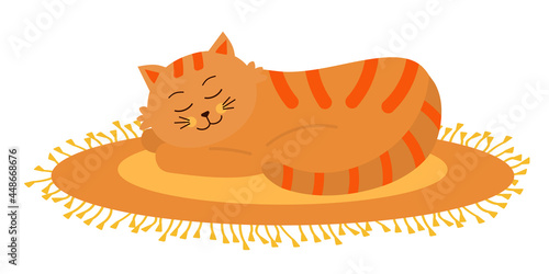 Cute orange cat sleeping on oval fringed rug.