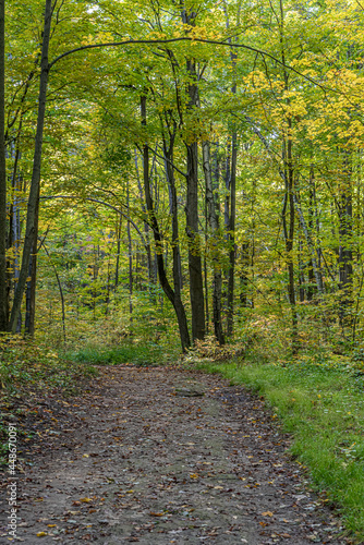 Fall time in park