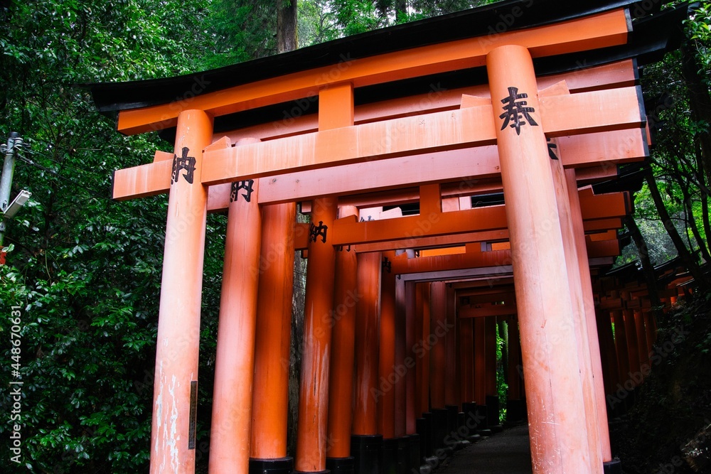 伏見稲荷の鳥居