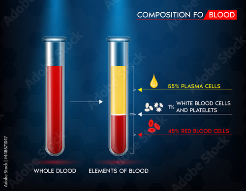 Elements of blood Red blood cell, plasma, white blood and platelets in a glass tube. Medical science structure concept. realistic with 3D vector illustration.