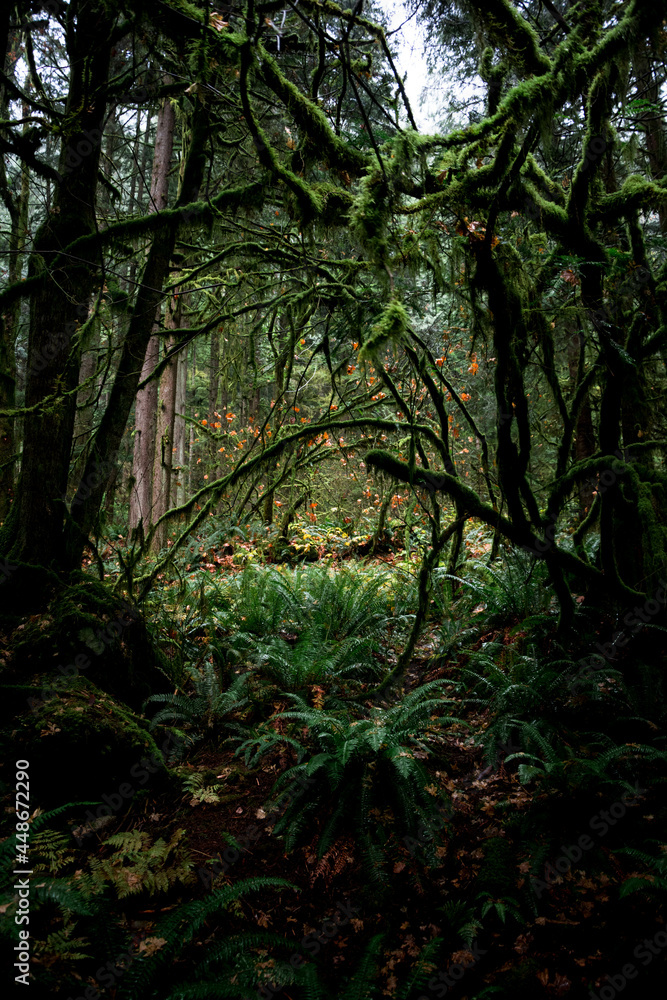 Naklejka premium Landscape and nature