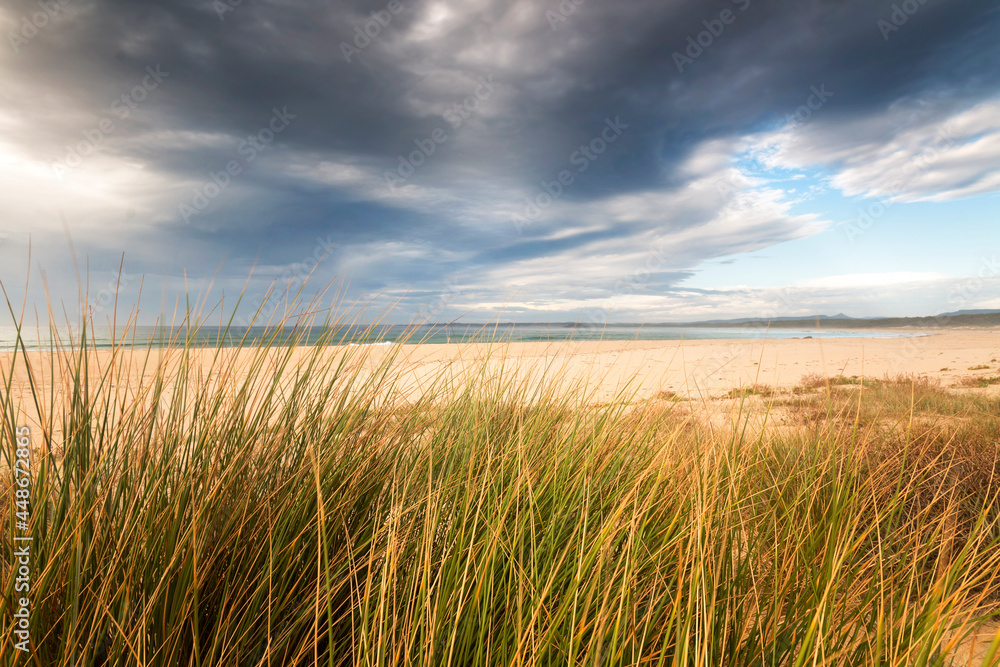 grass and sand on the beach beneath a stormy sky