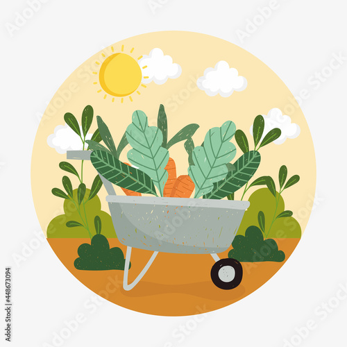 Photo garden wheelbarrow with carrots