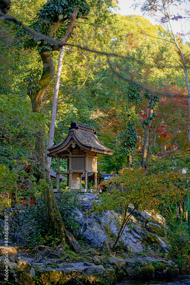 京都 上賀茂神社 秋色の境内風景 京都 上賀茂神社 秋色の境内風景